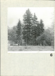 Ewidencja parkowa, skan nr 68