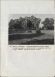 EP - Ewidencja parkowa, skan nr 80
