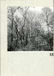 Ewidencja parkowa, skan nr 74