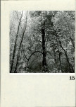 Ewidencja parkowa, skan nr 77