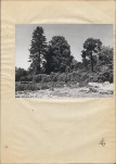 Ewidencja parkowa, skan nr 31