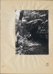 Ewidencja parkowa, skan nr 32