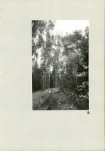 EP - Ewidencja parkowa, skan nr 34
