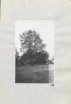 EP - Ewidencja parkowa, skan nr 43