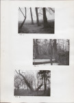EP - Ewidencja parkowa, skan nr 21