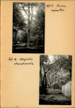 EP - Ewidencja parkowa, skan nr 22