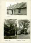 EP - Ewidencja parkowa, skan nr 17