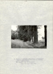 EP - Ewidencja parkowa, skan nr 22