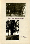 EP - Ewidencja parkowa, skan nr 20