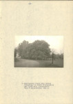 EP - Ewidencja parkowa, skan nr 15