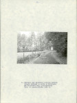 EP - Ewidencja parkowa, skan nr 18