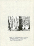 EP - Ewidencja parkowa, skan nr 20