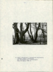 EP - Ewidencja parkowa, skan nr 22