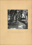 EP - Ewidencja parkowa, skan nr 34