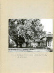 Ewidencja parkowa, skan nr 15