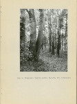 Ewidencja parkowa, skan nr 17