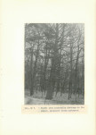 EP - Ewidencja parkowa, skan nr 34