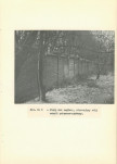 EP - Ewidencja parkowa, skan nr 36