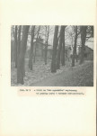 EP - Ewidencja parkowa, skan nr 37