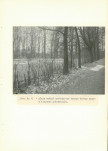 EP - Ewidencja parkowa, skan nr 40
