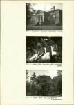 EP - Ewidencja parkowa, skan nr 29