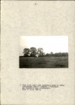 EP - Ewidencja parkowa, skan nr 20