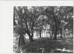 Ewidencja parkowa, skan nr 60