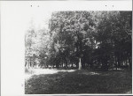 Ewidencja parkowa, skan nr 62