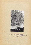EP - Ewidencja parkowa, skan nr 16