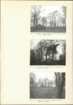 EP - Ewidencja parkowa, skan nr 34