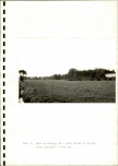 Ewidencja parkowa, skan nr 15
