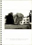 Ewidencja parkowa, skan nr 20