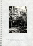 Ewidencja parkowa, skan nr 23