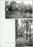 EP - Ewidencja parkowa, skan nr 29