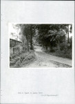 Ewidencja parkowa, skan nr 19