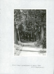 Ewidencja parkowa, skan nr 20