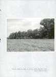 Ewidencja parkowa, skan nr 26