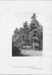 Ewidencja parkowa, skan nr 35