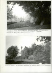 EP - Ewidencja parkowa, skan nr 30