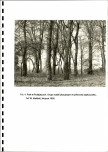Ewidencja parkowa, skan nr 28