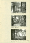 EP - Ewidencja parkowa, skan nr 25
