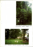 Ewidencja parkowa, skan nr 21