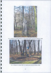 Ewidencja parkowa, skan nr 27