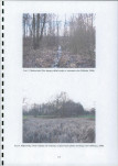 Ewidencja parkowa, skan nr 16