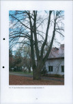 Ewidencja parkowa, skan nr 25