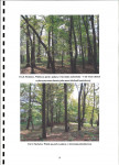 Ewidencja parkowa, skan nr 16