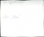 Karta zielona, skan nr 6