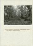 Ewidencja parkowa, skan nr 40