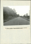 Ewidencja parkowa, skan nr 46