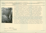 KB - Karta biała, skan nr 17